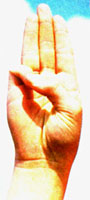 The salute